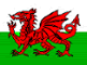 Welsh Dragon