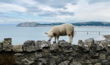 Things to Do in Llandudno