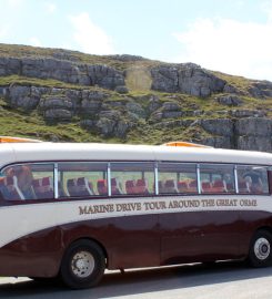 Great Orme Vintage Bus Tour