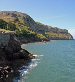 Great Orme Vintage Bus Tour